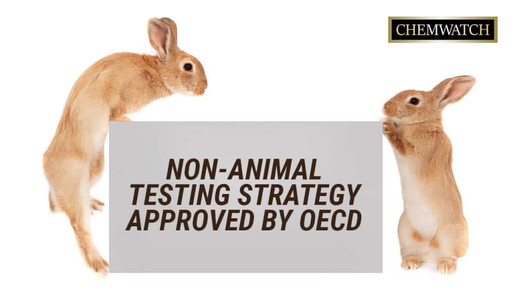 Non-animal testing strategy approved by OECD - Chemwatch