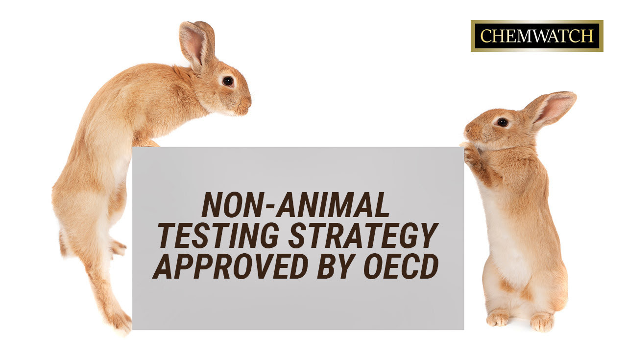 تمت الموافقة على استراتيجية الاختبارات غير الحيوانية من قبل منظمة التعاون الاقتصادي والتنمية