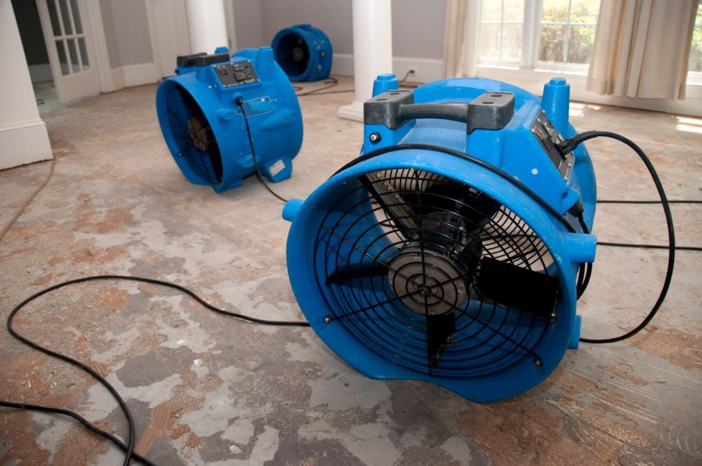 Use of fans is encouraged to remove any residual moisture and dampness. 
