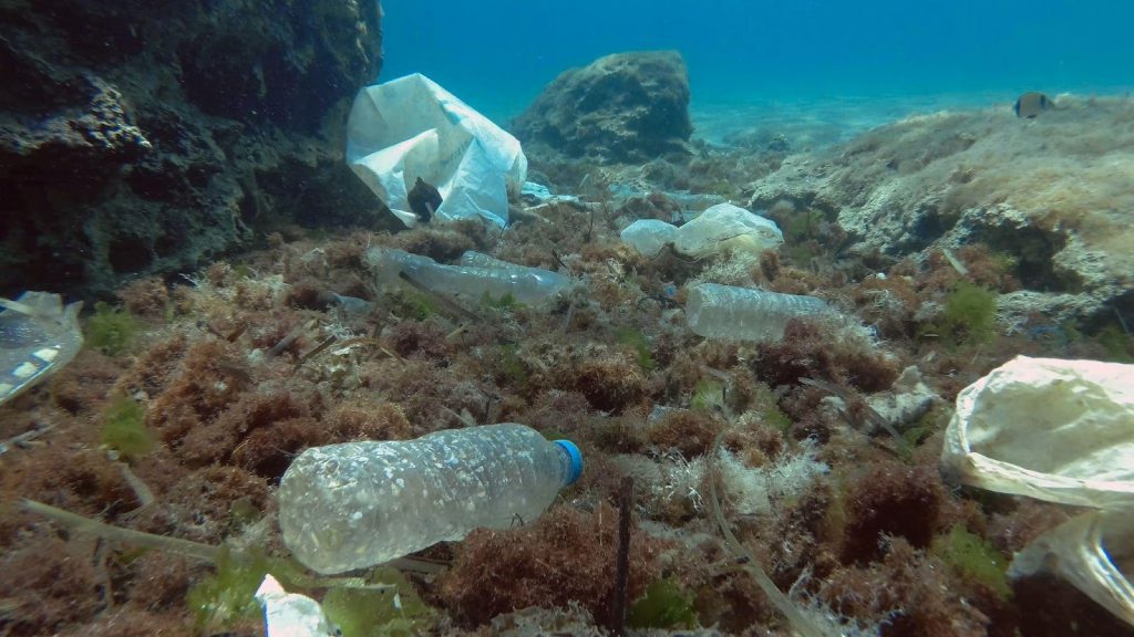 Single-use plastic is a key concern for environmentalists, as they are a very common pollutant in oceans and waterways.